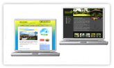 Siti web a grafica standard
